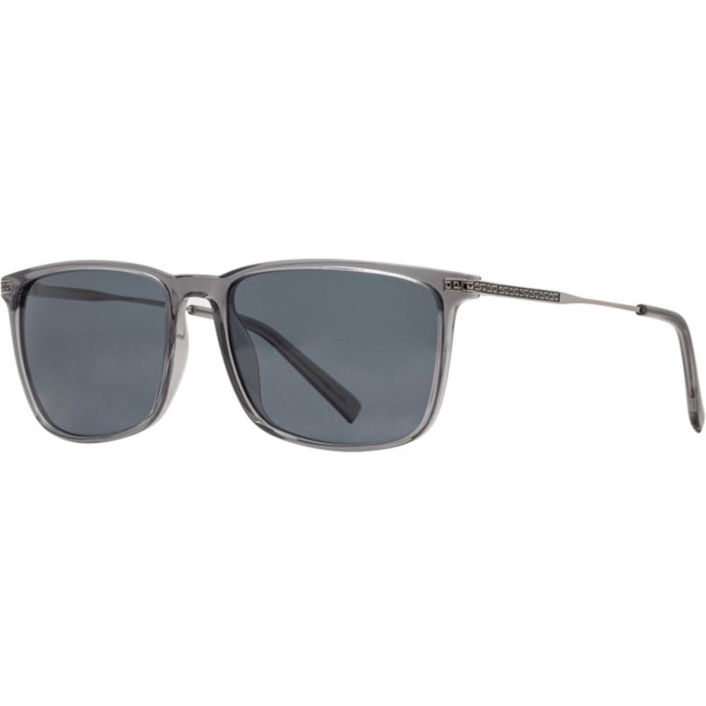 NEW INVU Polarized Sunwear 265 Sunglasses